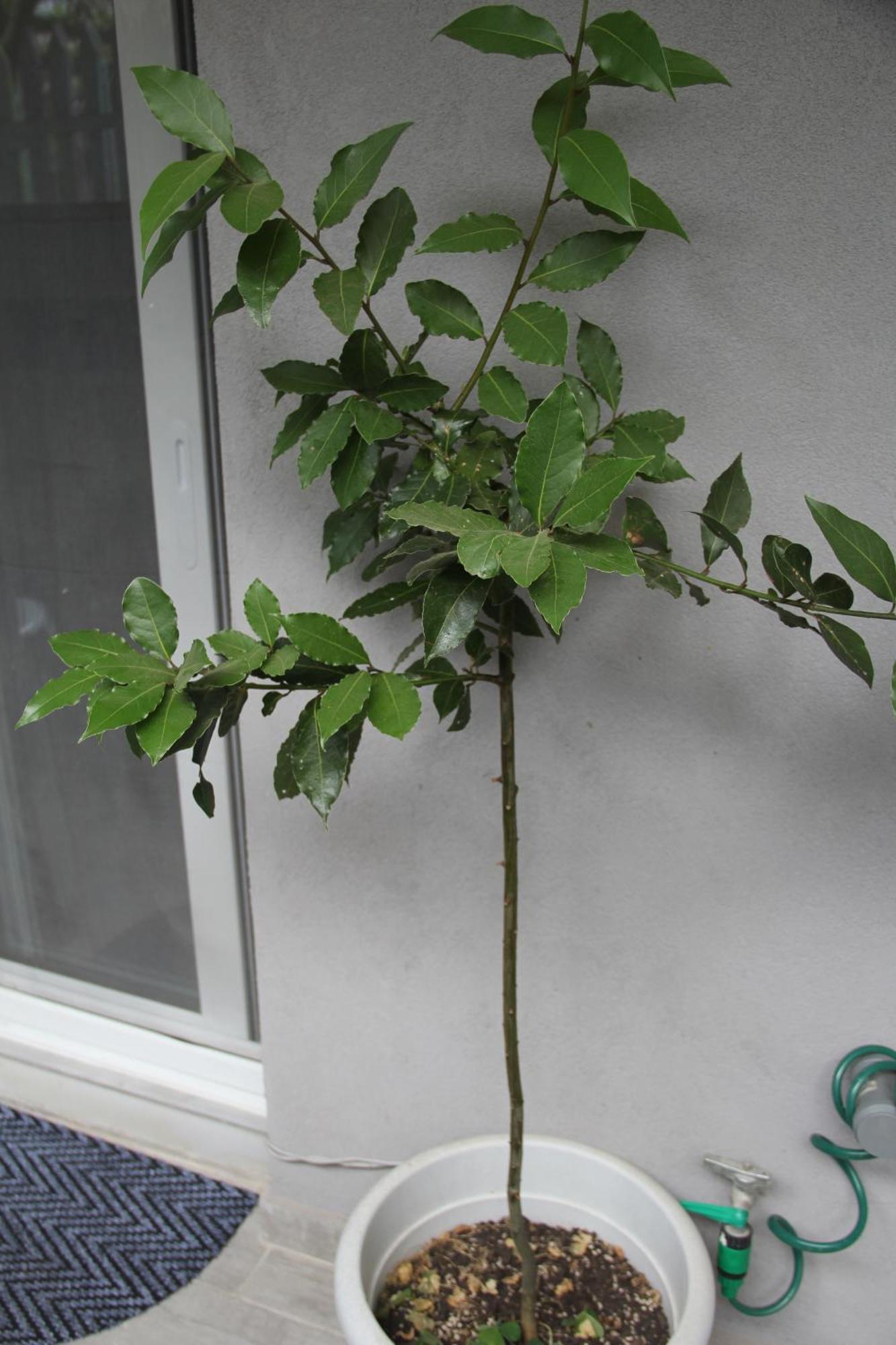Apartment Patra Greece Exterior foto